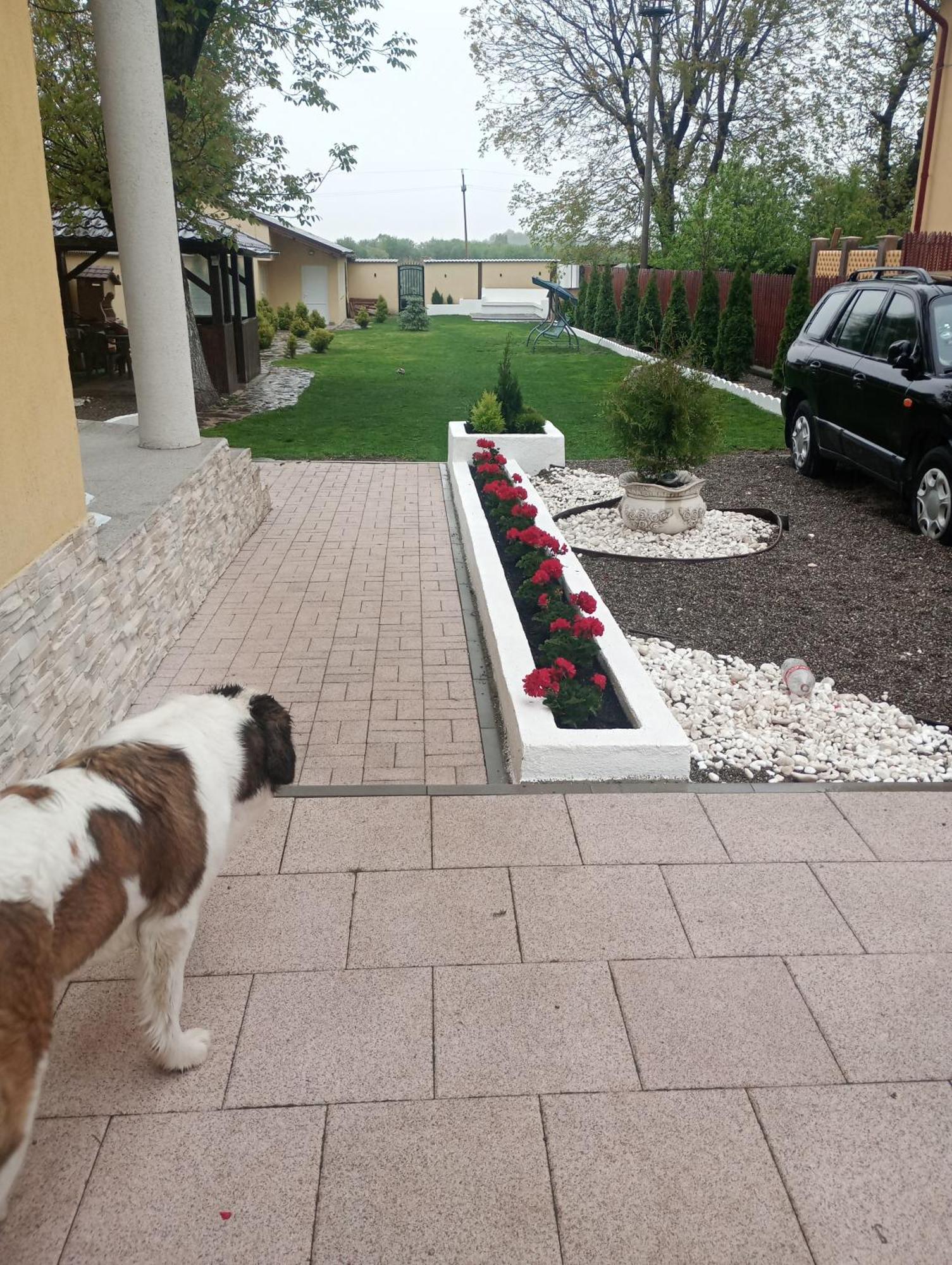Izabella Guest House Săcele Exterior photo