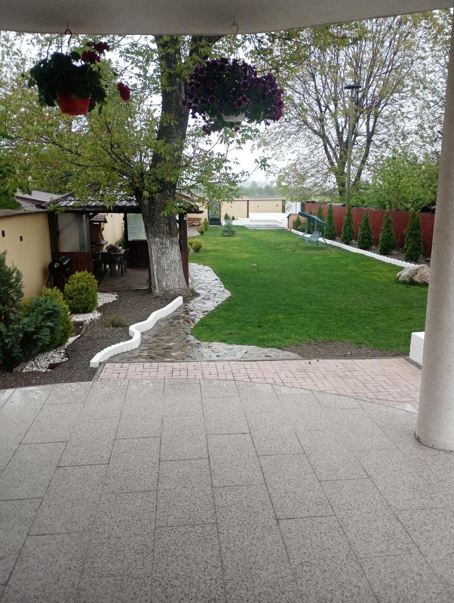 Izabella Guest House Săcele Exterior photo
