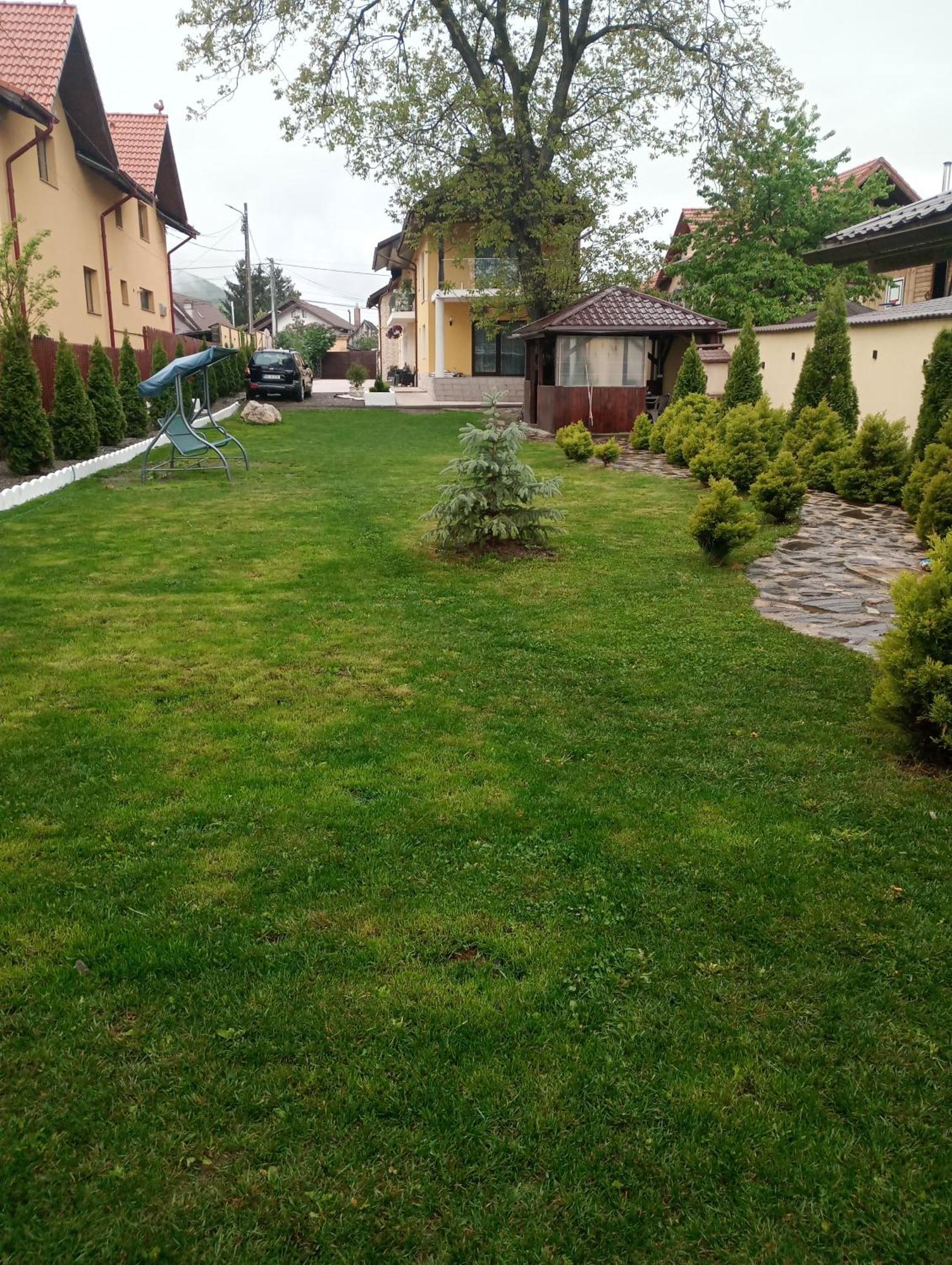 Izabella Guest House Săcele Exterior photo