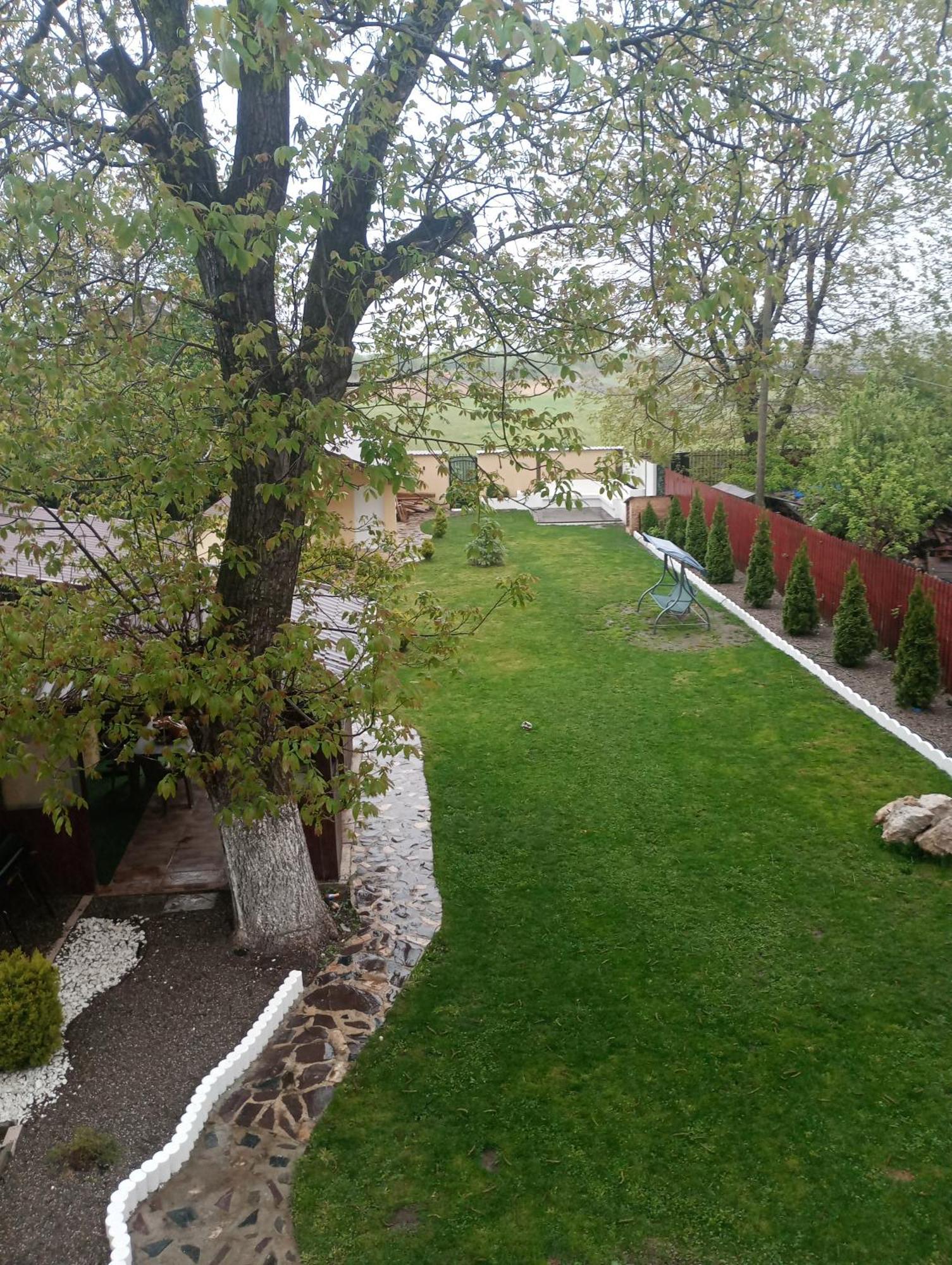 Izabella Guest House Săcele Exterior photo