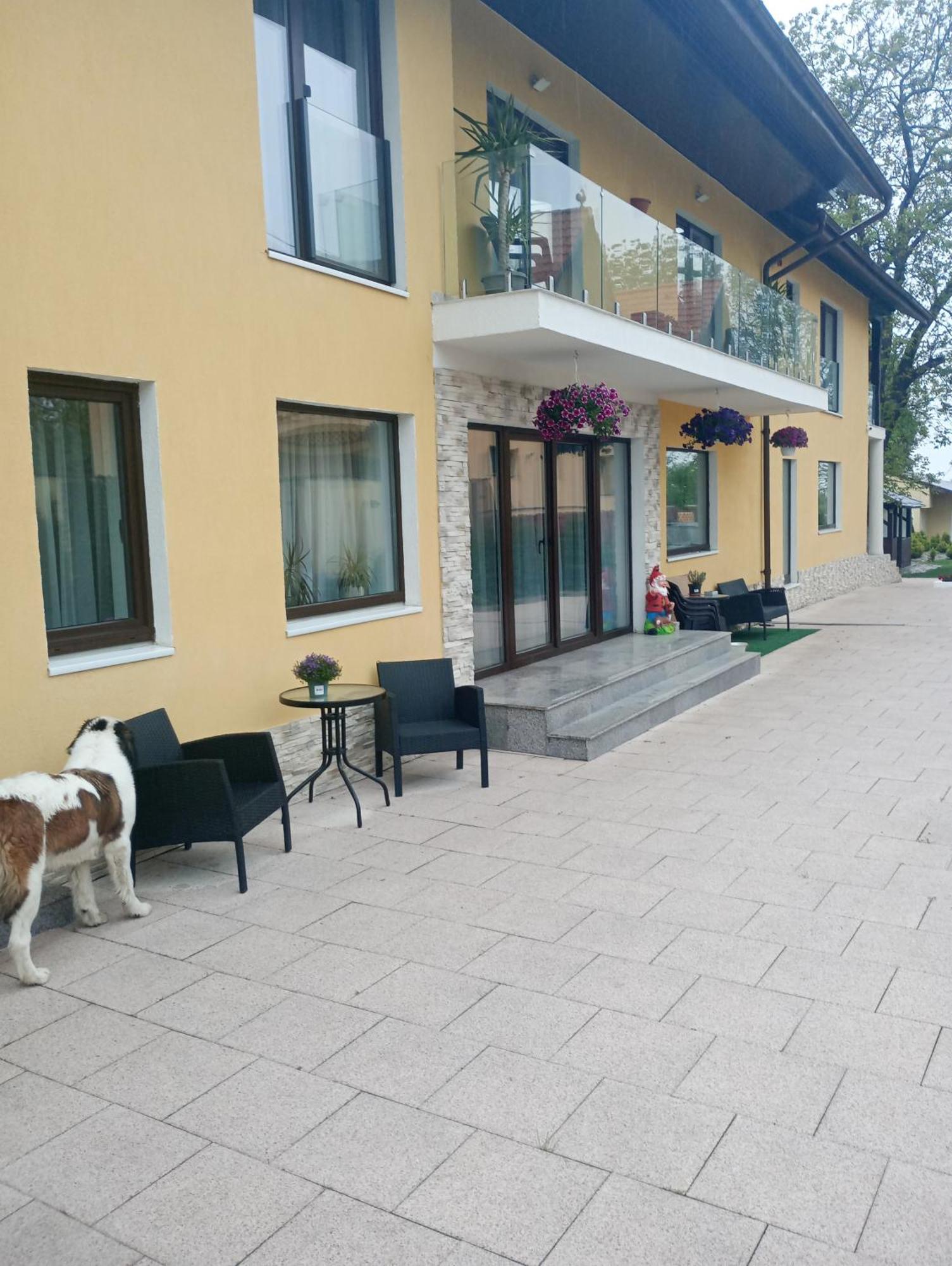 Izabella Guest House Săcele Exterior photo
